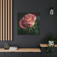 Pink Rose - Canvas Gallery Wrapped Print