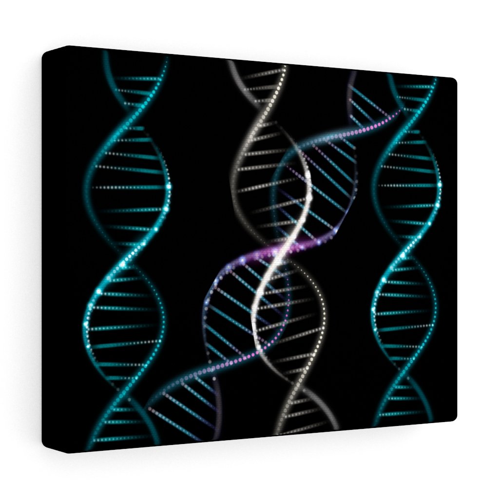 DNA - Canvas Gallery Wraps