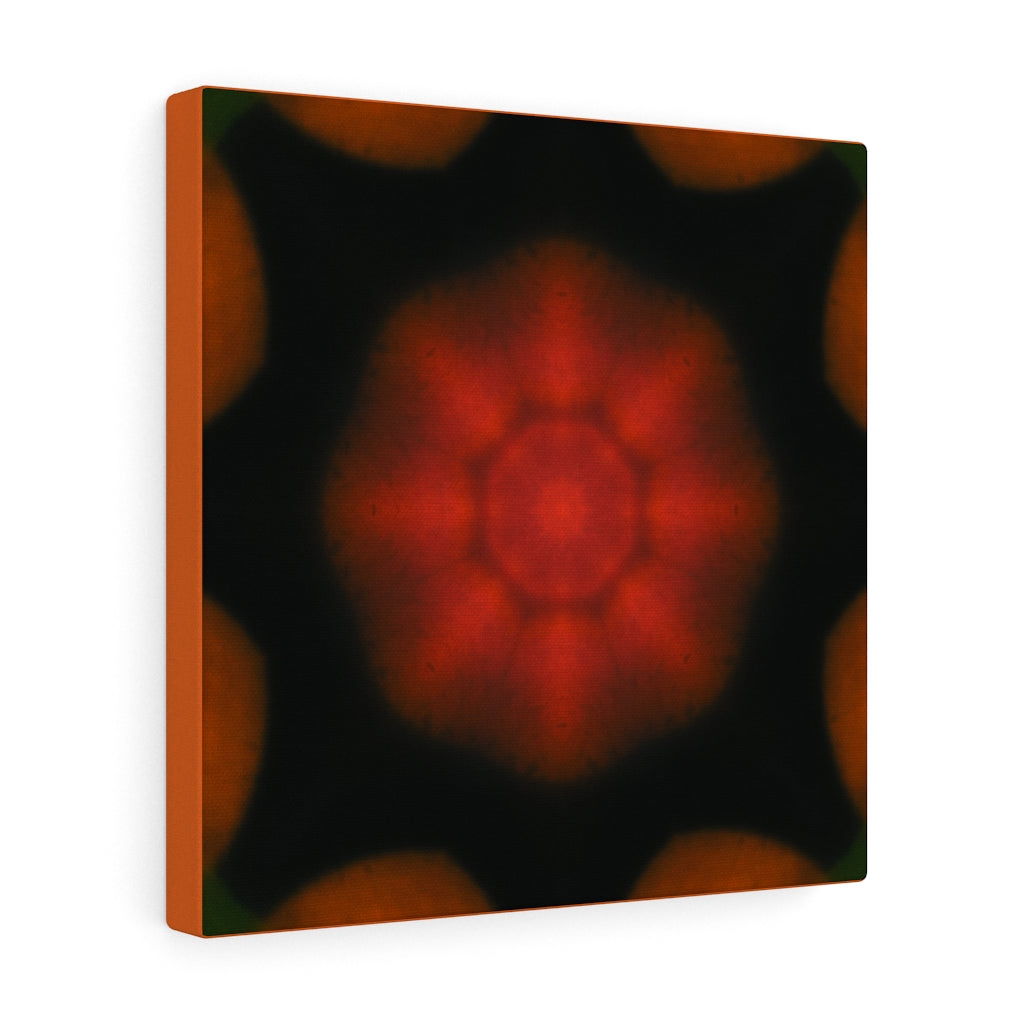 Red Star - Canvas Gallery Wraps Print